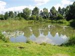 Let op: Aanpassing regelgeving Brandweerplas door verwijderen karpers 