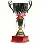 WICO Cup 2011