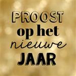 Gezellige Eindejaarafsluiting van de Steenkarper