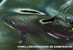 Forellen op de Kamphoeve